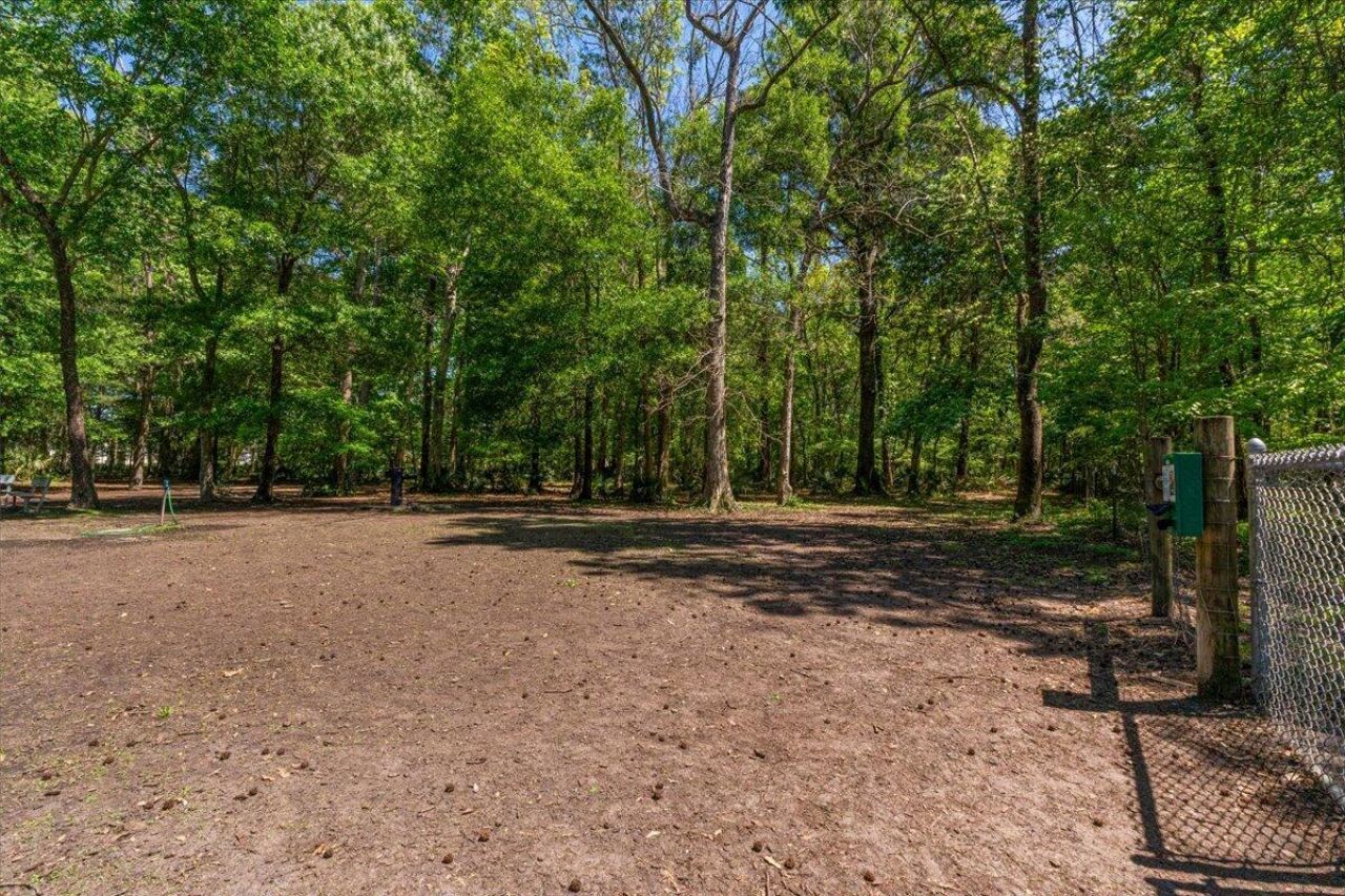 244 Larissa Drive Photo 51