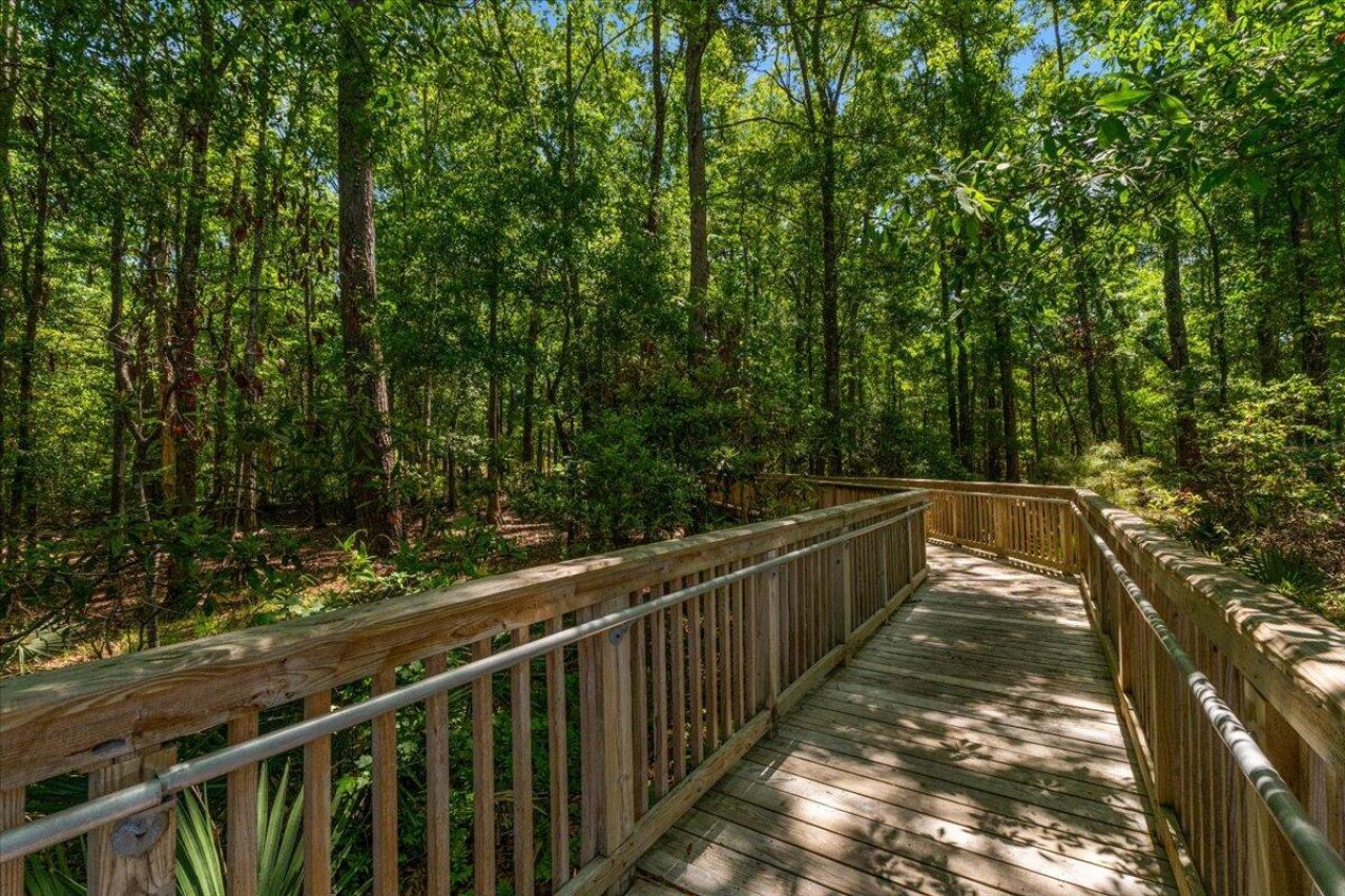 244 Larissa Drive Photo 52