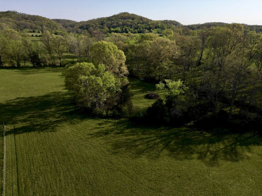 Property Image 62