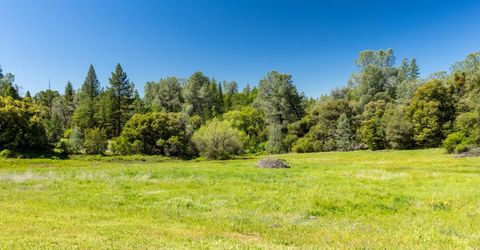 7220 Grizzly Flat Rd, Somerset, CA 95684 Photo