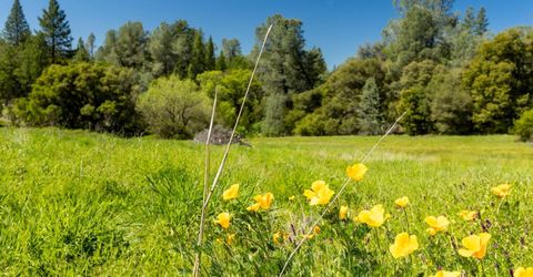 7220 Grizzly Flat Rd, Somerset, CA 95684 Photo