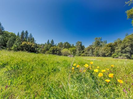 7220 Grizzly Flat Rd, Somerset, CA 95684 Photo
