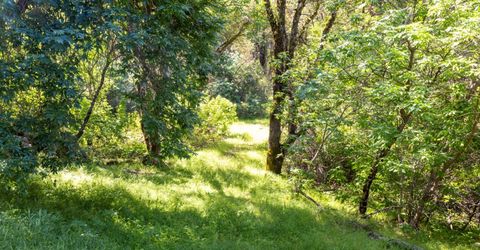 7220 Grizzly Flat Rd, Somerset, CA 95684 Photo