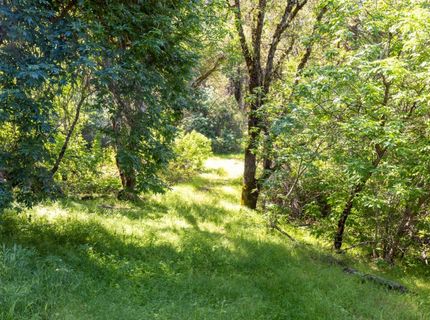 7220 Grizzly Flat Rd, Somerset, CA 95684 Photo