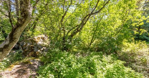 7220 Grizzly Flat Rd, Somerset, CA 95684 Photo