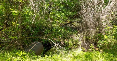 7220 Grizzly Flat Rd, Somerset, CA 95684 Photo