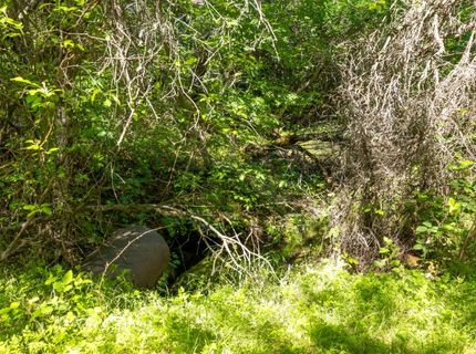 7220 Grizzly Flat Rd, Somerset, CA 95684 Photo