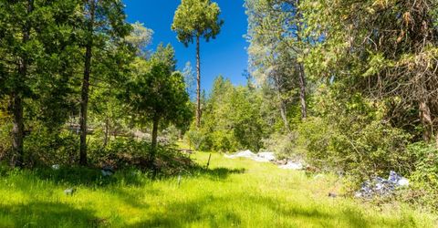 7220 Grizzly Flat Rd, Somerset, CA 95684 Photo