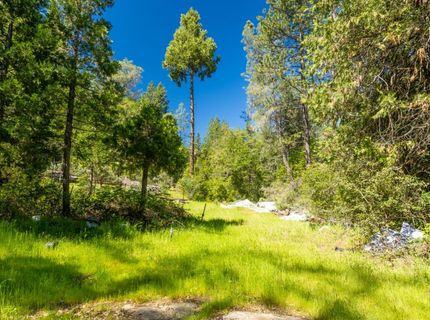 7220 Grizzly Flat Rd, Somerset, CA 95684 Photo