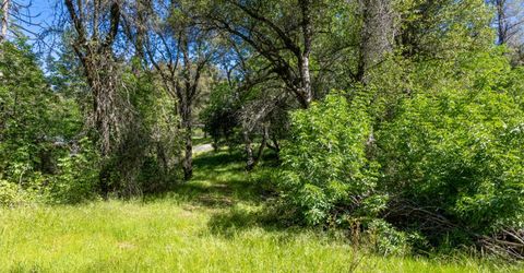 7220 Grizzly Flat Rd, Somerset, CA 95684 Photo