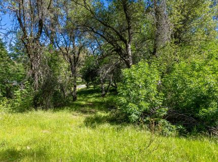7220 Grizzly Flat Rd, Somerset, CA 95684 Photo
