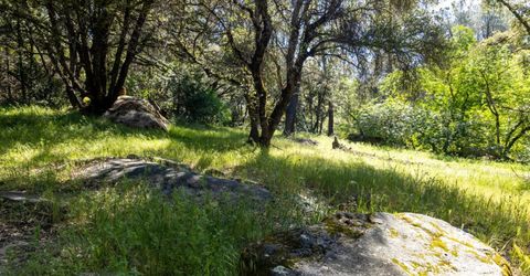 7220 Grizzly Flat Rd, Somerset, CA 95684 Photo