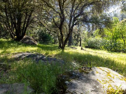 7220 Grizzly Flat Rd, Somerset, CA 95684 Photo