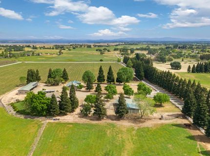 24521-24509 N Mcintire Rd, Clements, CA 95227 Photo
