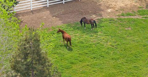 24521-24509 N Mcintire Rd, Clements, CA 95227 Photo
