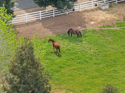 24521-24509 N Mcintire Rd, Clements, CA 95227 Photo