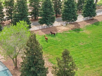 24521-24509 N Mcintire Rd, Clements, CA 95227 Photo
