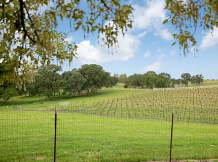 24521-24509 N Mcintire Rd, Clements, CA 95227 Photo