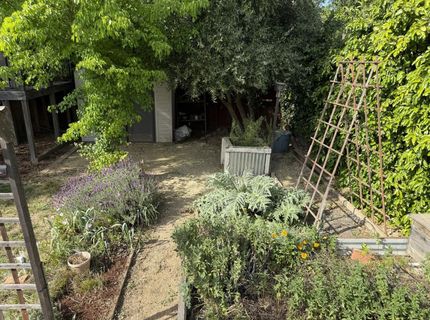 938 Snyder, Davis, CA 95616 Photo