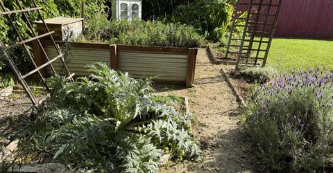 938 Snyder, Davis, CA 95616 Photo