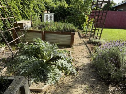 938 Snyder, Davis, CA 95616 Photo