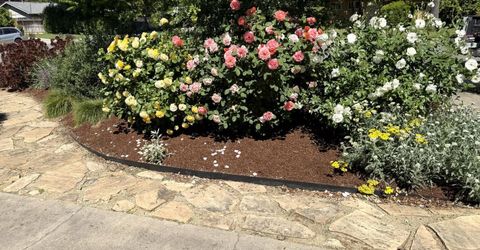 938 Snyder, Davis, CA 95616 Photo