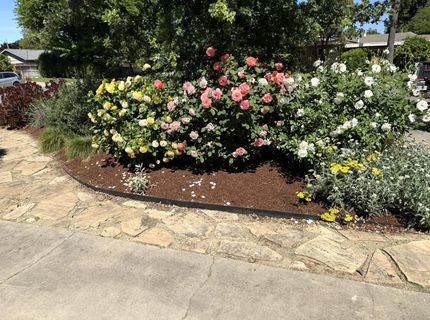 938 Snyder, Davis, CA 95616 Photo