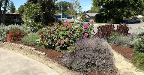 938 Snyder, Davis, CA 95616 Photo