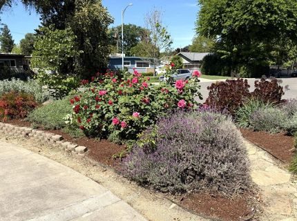 938 Snyder, Davis, CA 95616 Photo