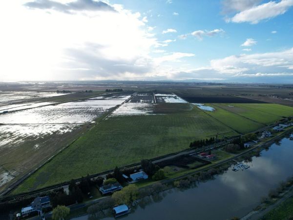 Terminous Rd, Isleton, CA 95641
