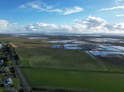 Terminous Rd, Isleton, CA 95641 Photo