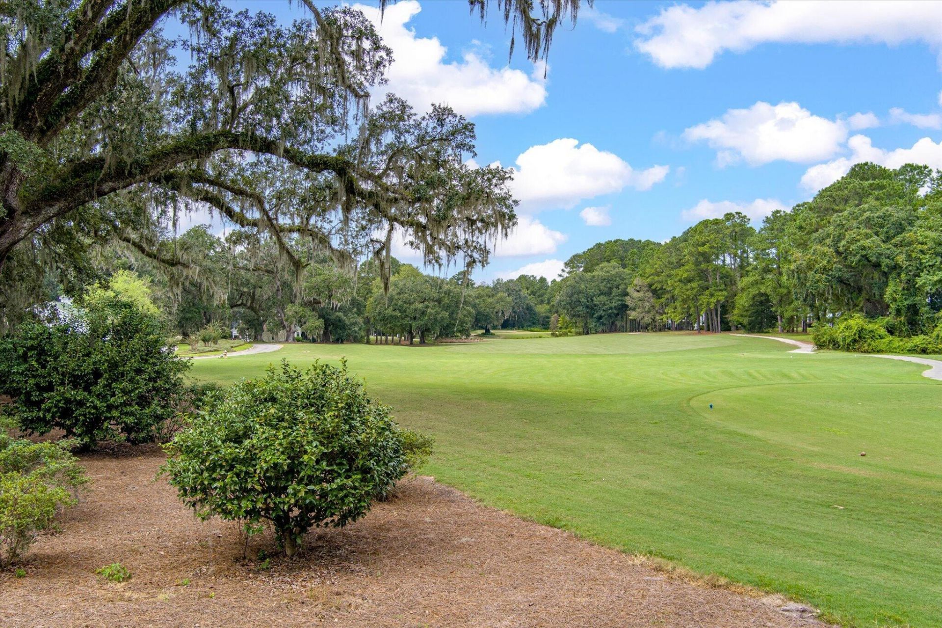 127 Carolinian Drive Photo 136