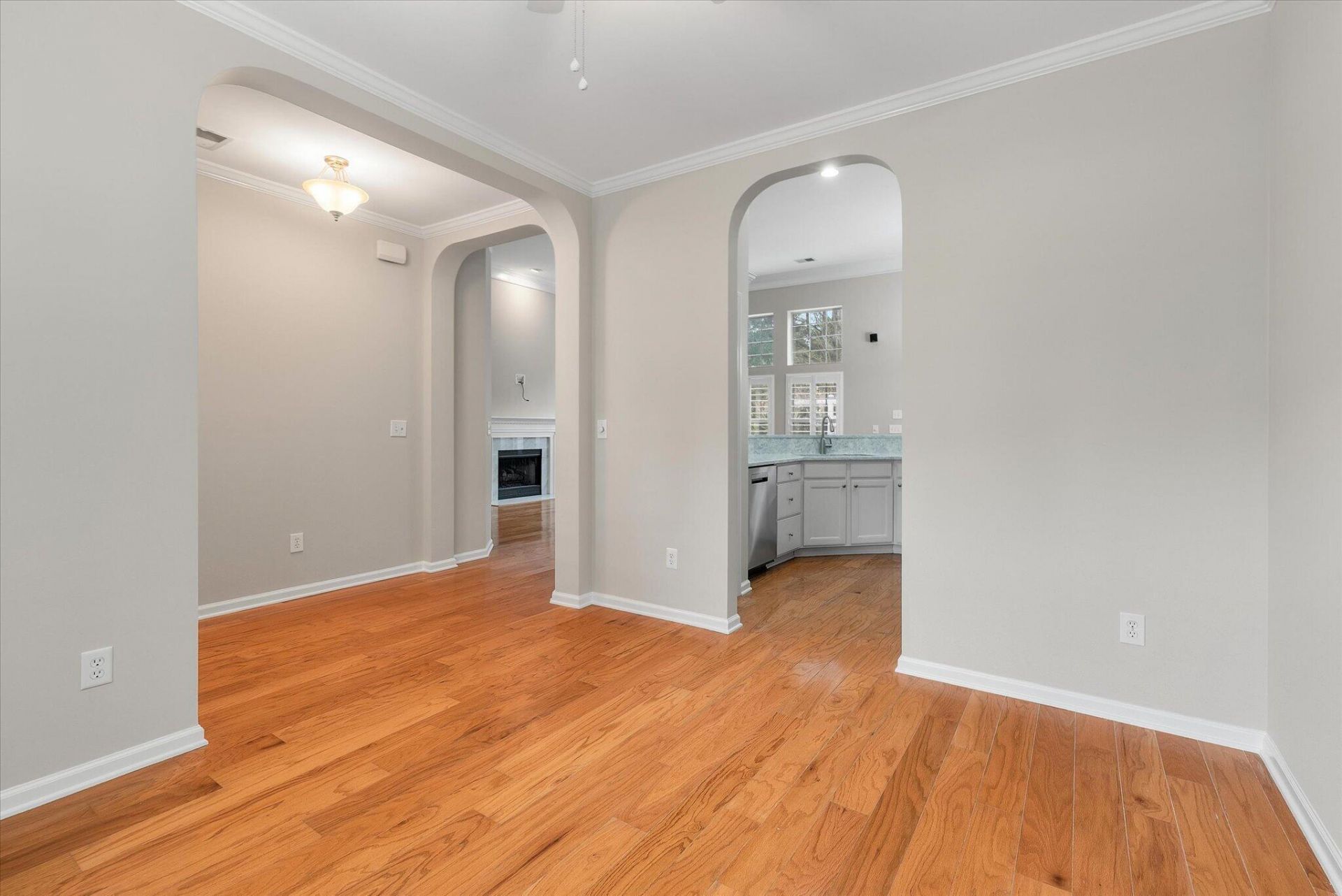 127 Carolinian Drive Photo 32