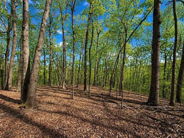 0 Burnt Mtn Cove Road, Jasper, GA 30143