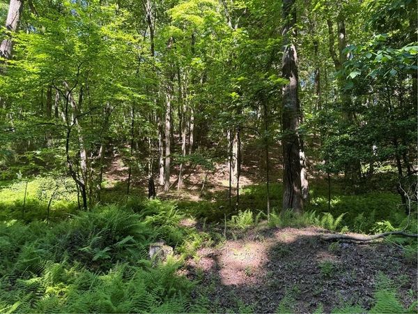 0 Walhalla Court, Ellijay, GA 30540