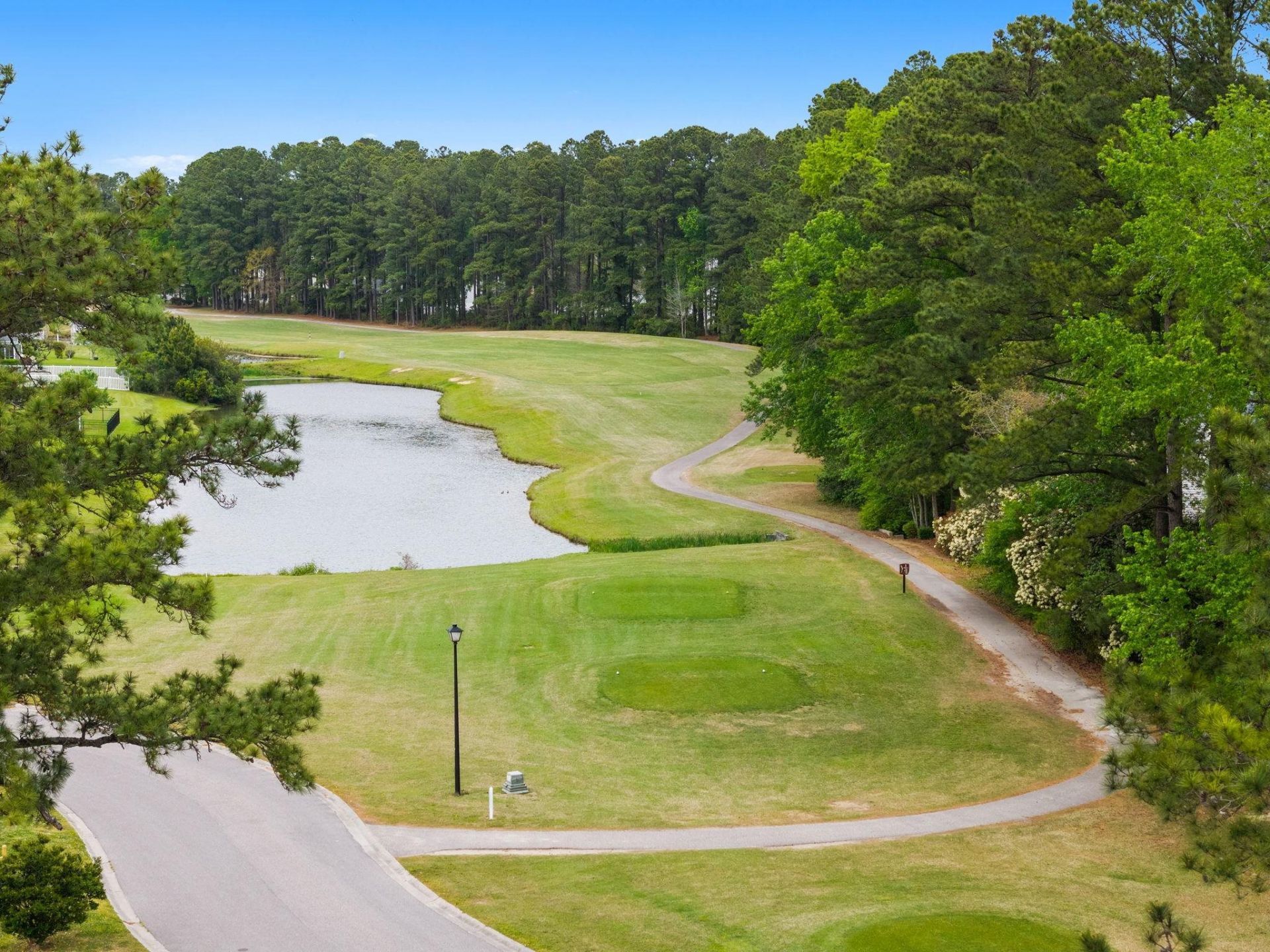 159 Palmetto Green Dr. Photo 53