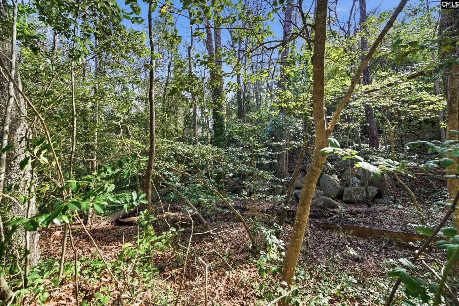 101 Stoney Brook Court  Photo 38