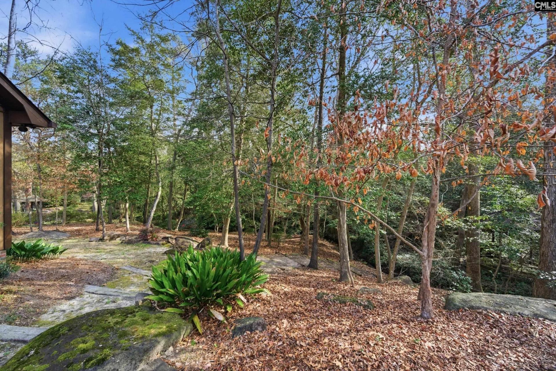 101 Stoney Brook Court  Photo 39