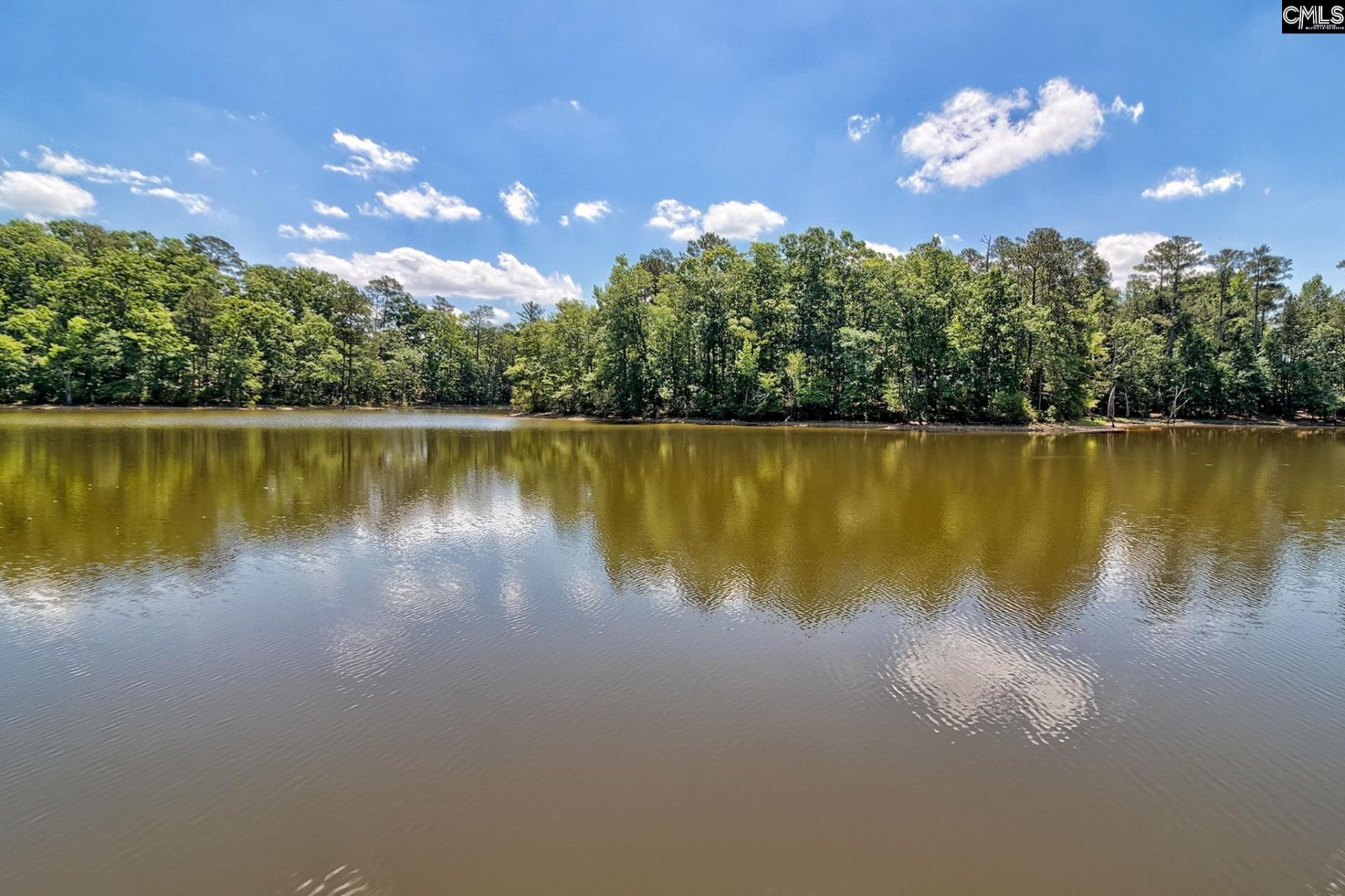 463 Ridge Road Photo 12