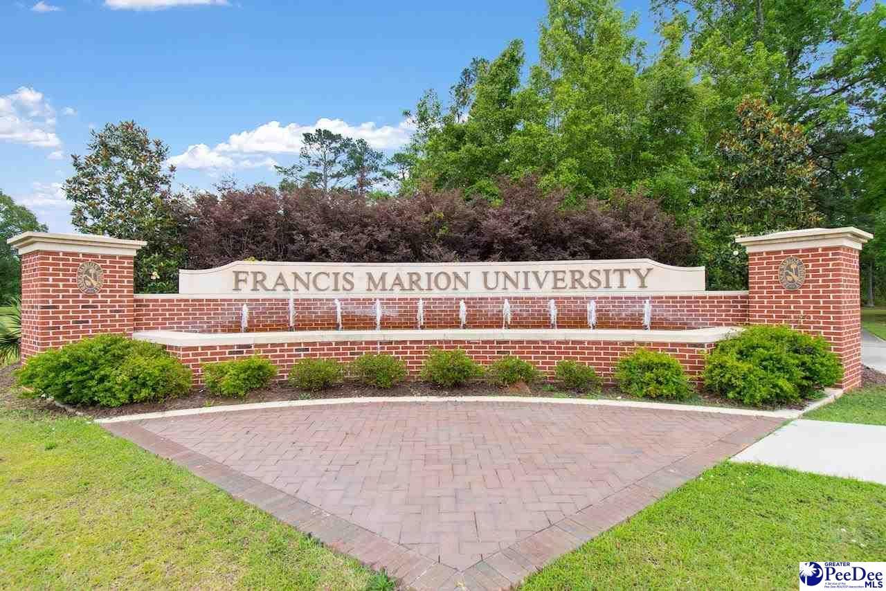 3325 Royal Star Lane Photo 22