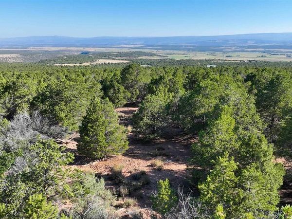 246 La Mesa Vista Drive, Norwood, CO 81423