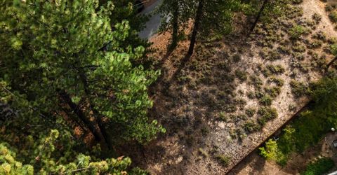 1304 Susie Lake Road, South Lake Tahoe, CA 96150 Photo