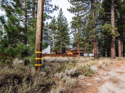 1304 Susie Lake Road, South Lake Tahoe, CA 96150 Photo