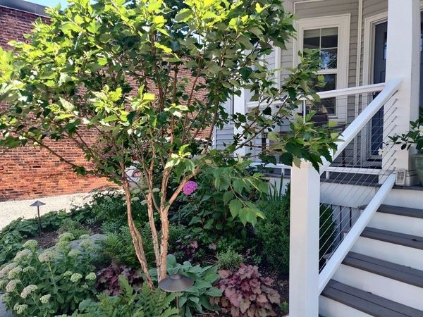 8 Lafayette St, Arlington, MA 02474