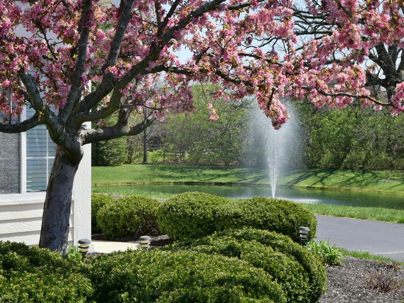 6195 Donegan Way, Unit 9, Dublin, OH 43016 Photo 22