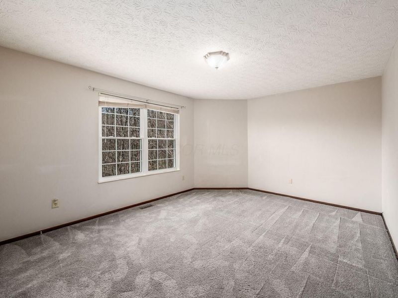 133 Ravine Ridge Drive S, Powell, OH 43065 Photo 20