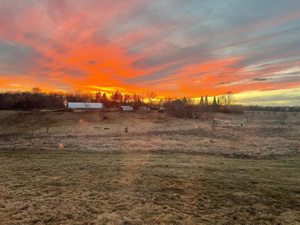 18993 County 4 , Osakis, MN 56360