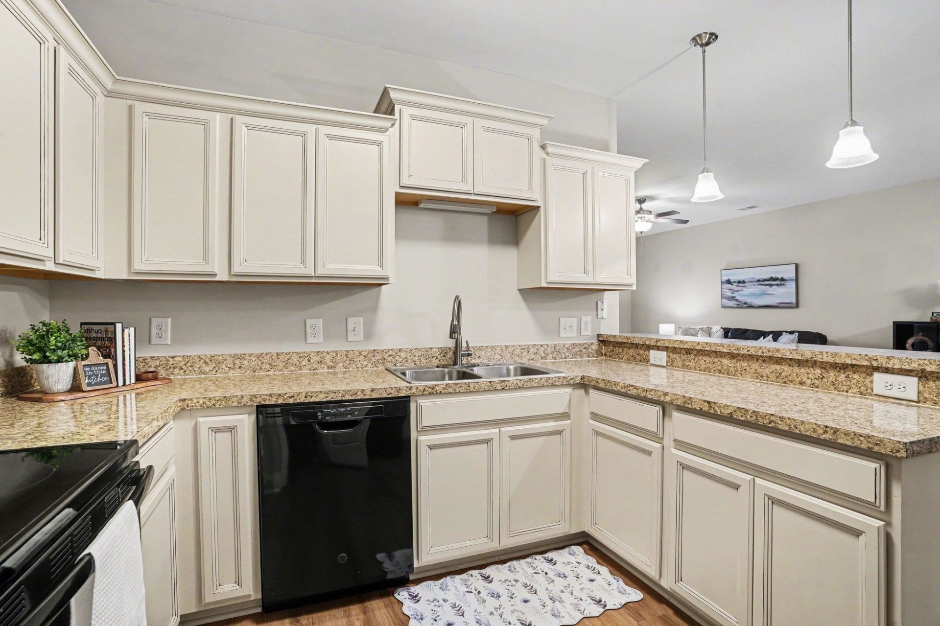 189 Ella Kinley Circle Photo 10