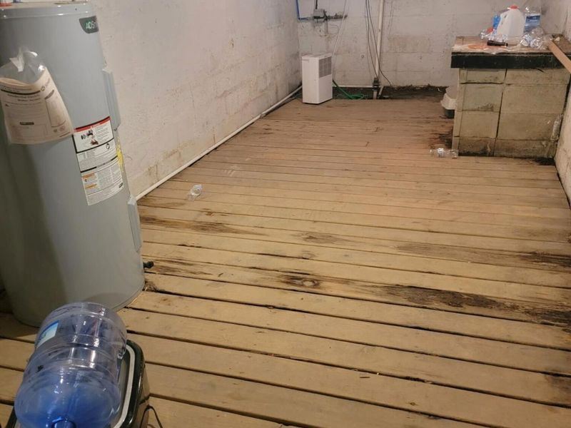 209 N Main Street, Caledonia, OH 43314 Photo 42