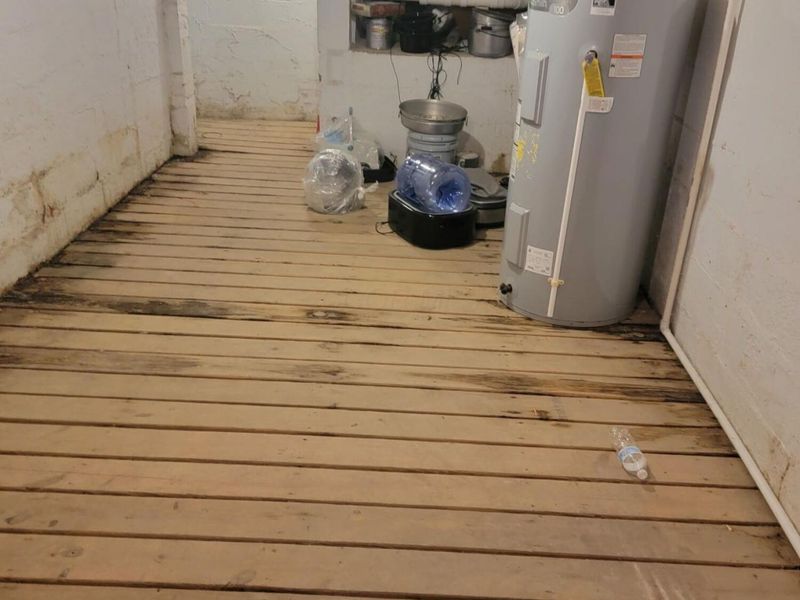 209 N Main Street, Caledonia, OH 43314 Photo 43